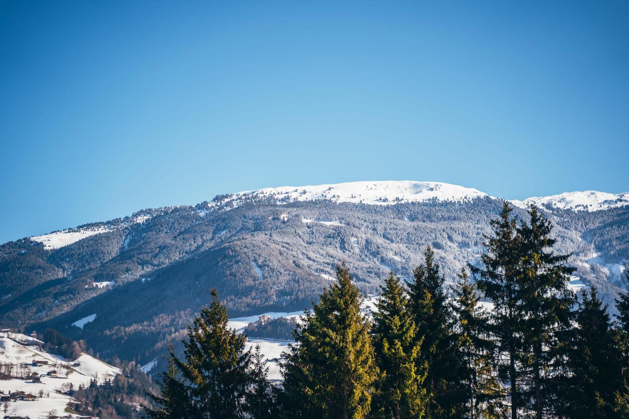 Chalet Wildruh Ried im Zillertal Eksteriør billede