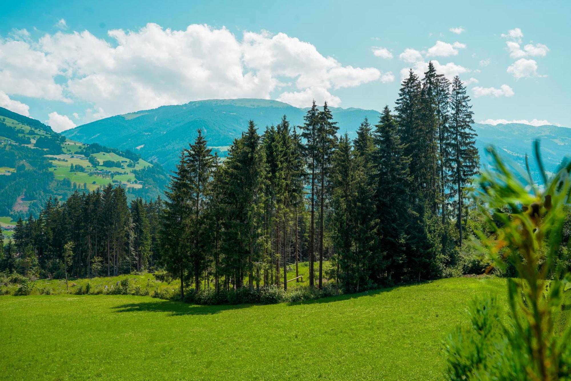 Chalet Wildruh Ried im Zillertal Eksteriør billede