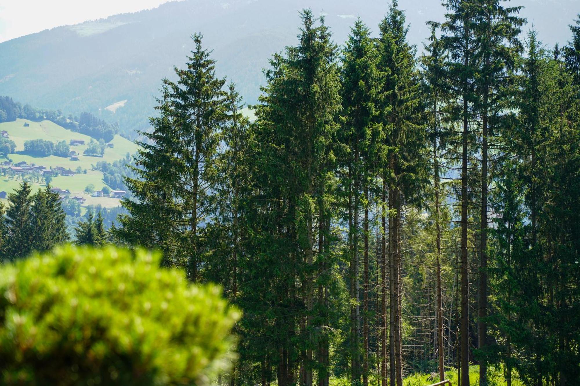 Chalet Wildruh Ried im Zillertal Eksteriør billede